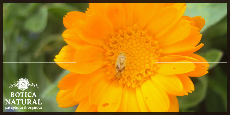 Slider 1